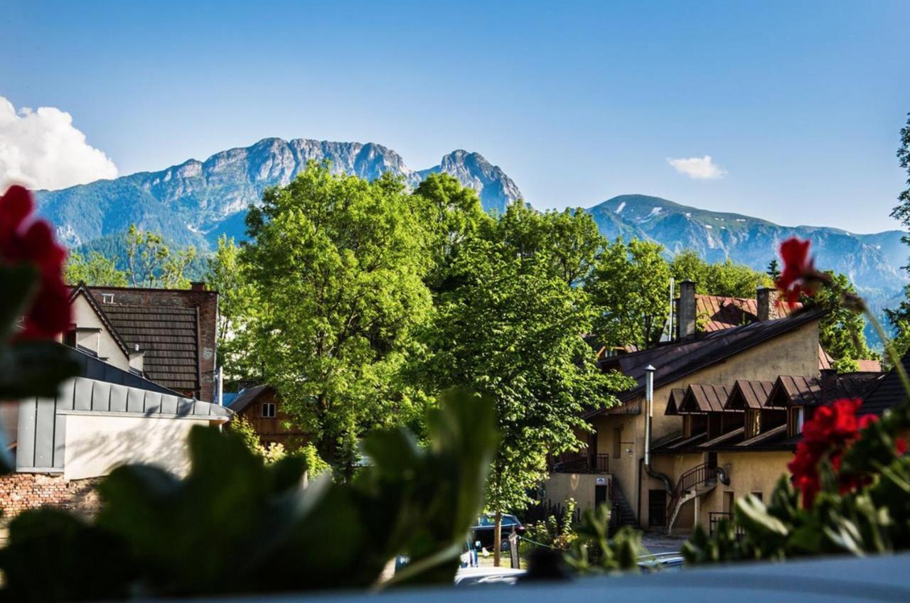 Willa Arkadia Zakopane Esterno foto